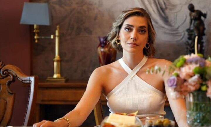 Турецкий сериал «Зимородок»